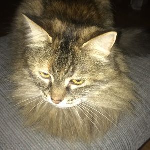 Meet your Posher, Esme